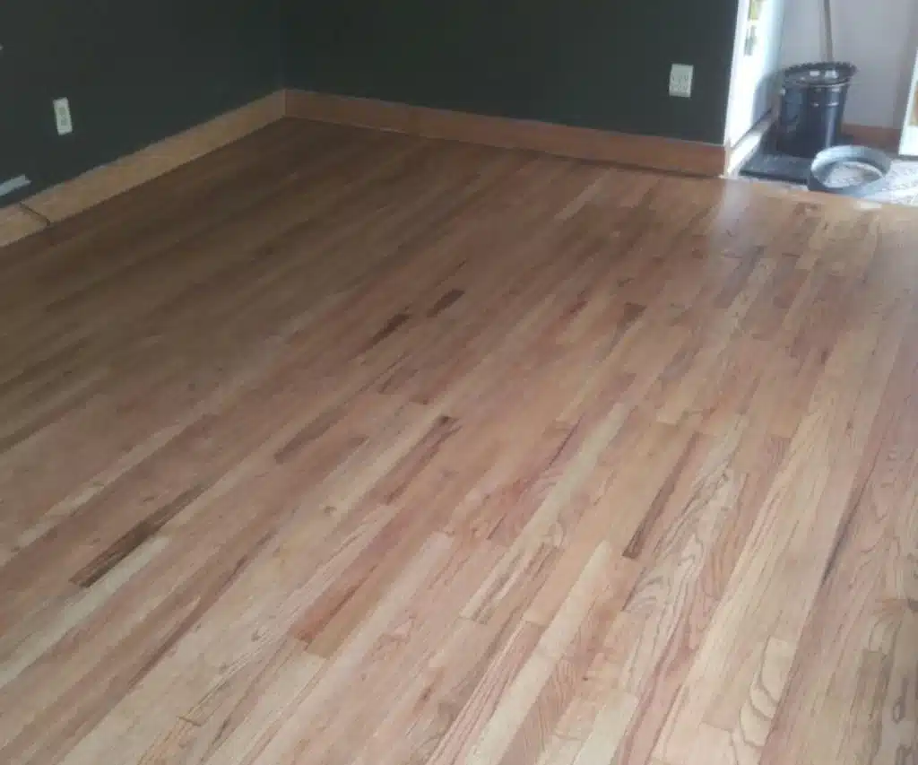 An empty room with newly finished hardwood floors, dark green walls, light wood baseboards, and a small area near the door with a black mat and a bucket—perfect for showcasing professional hardwood floor refinishing services.